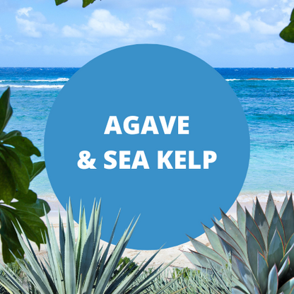 Agave & Sea Kelp Scented Epsom Salt Bath Soak