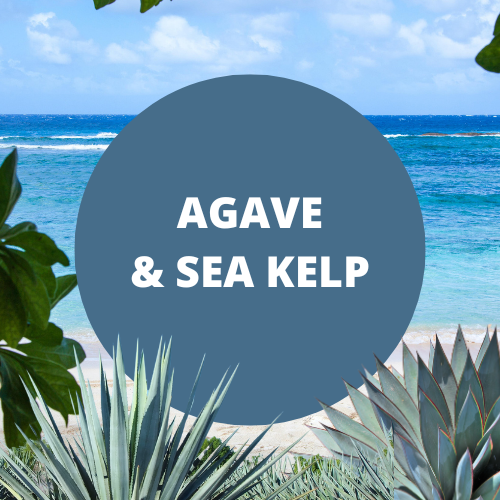 Agave & Sea Kelp Scented Goat Milk Bubble Bath