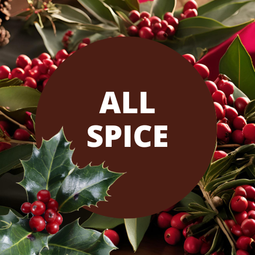 All Spice Scented Hand-Dipped Charcoal Incense Sticks