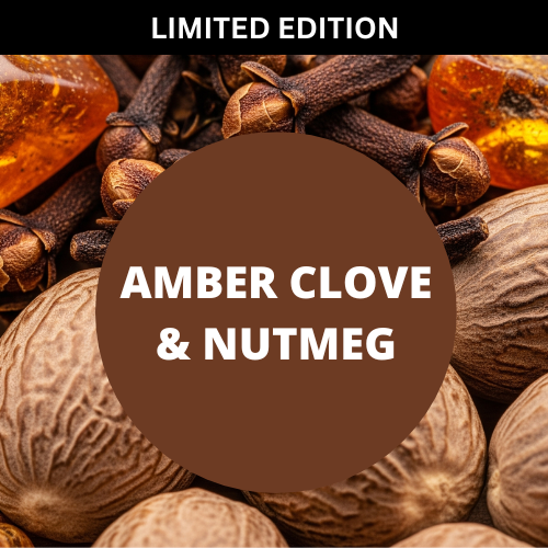 Amber Clove & Nutmeg Scented Hand-Dipped Charcoal Incense Sticks