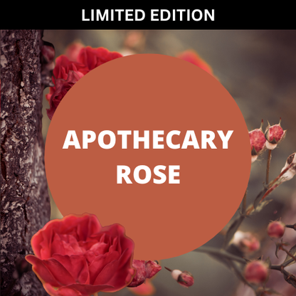Apothecary Rose Scented Body Cream