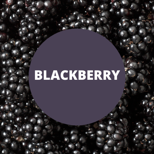 Blackberry Scented Hand Sanitizer Gel