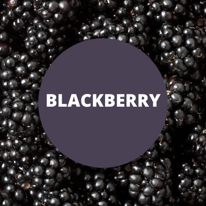 Blackberry Scented Hand Sanitizer Gel