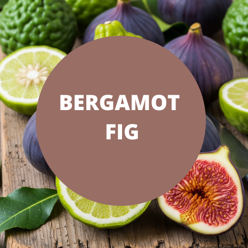 Bergamot Fig Scented Reed Diffuser Oil Refill
