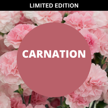 Carnation Scented Massage Oil