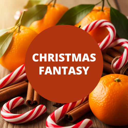 Christmas Fantasy Scented Potpourri