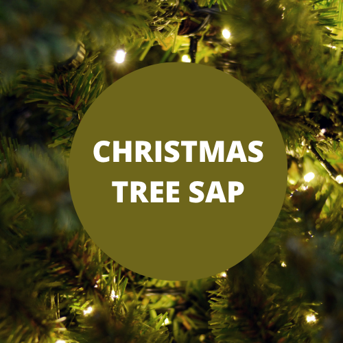 Christmas Tree Sap Scented Potpourri