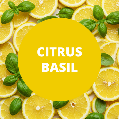 Black Canyon Citrus Basil Scented Body Spray