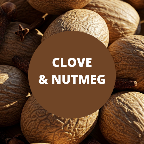 Black Canyon Clove & Nutmeg Scented Body Lotion