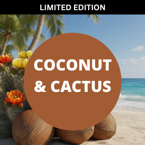 Coconut & Cactus Scented Hand Dipped Charcoal Incense Sticks