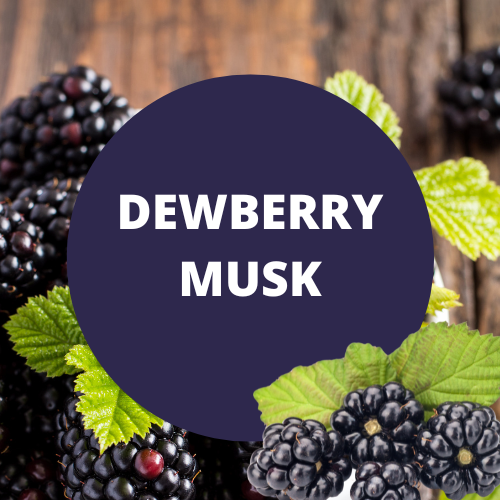 Black Canyon Dewberry Musk Scented Massage Oil