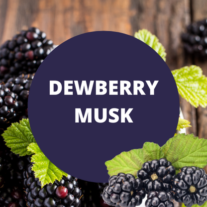 Black Canyon Dewberry Musk Scented Massage Oil