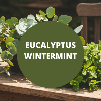 Eucalyptus Wintermint Scented Goat Milk Body Wash