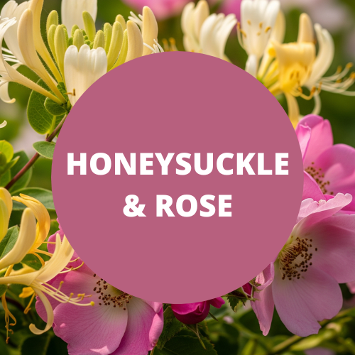 Honeysuckle & Rose Scented Crafting Fragrance Oil For Soapmaking