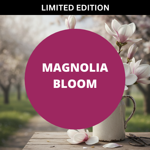 Magnolia Bloom Scented Potpourri