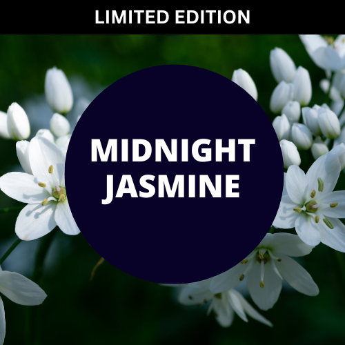 Midnight Jasmine Scented Potpourri