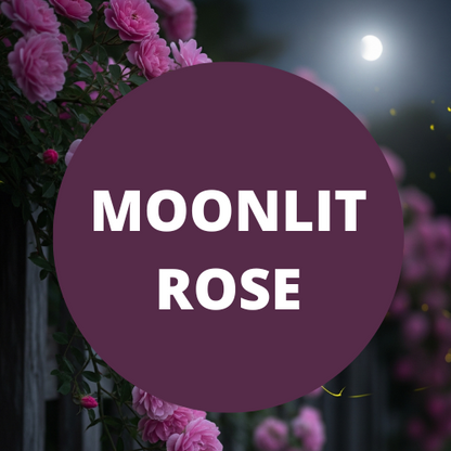 Black Canyon Moonlit Rose Scented Body Lotion