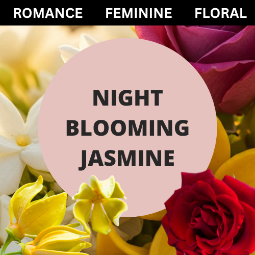 Brillar Bath House Night Blooming Jasmine Scented Shimmering Body Lotion