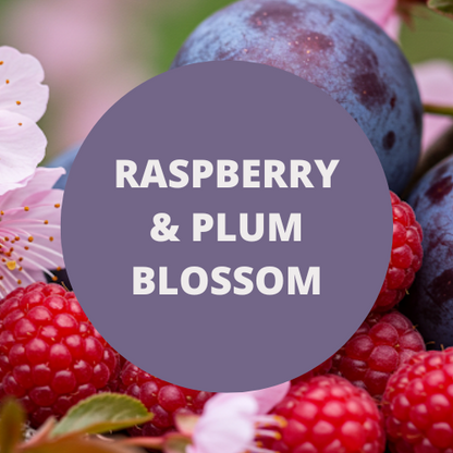 Raspberry & Plum Blossom Scented Potpourri
