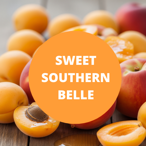 Sweet Southern Belle Scented Potpourri
