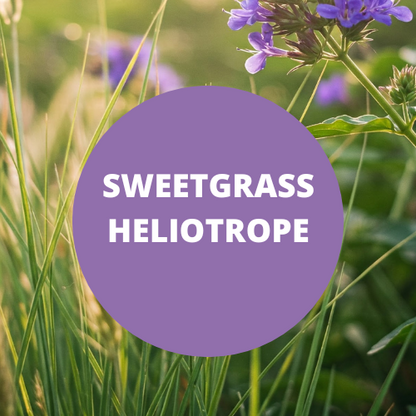 Sweetgrass Heliotrope Scented Potpourri