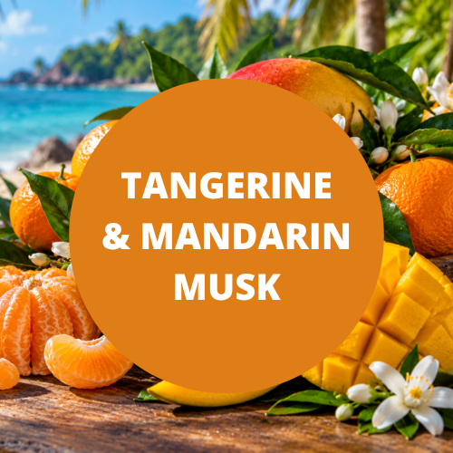 Tangerine & Mandarin Musk Scented Reed Diffuser Oil Refill