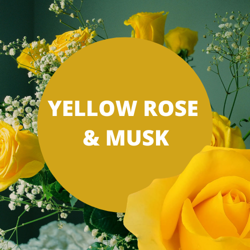 Yellow Rose & Musk Scented Potpourri