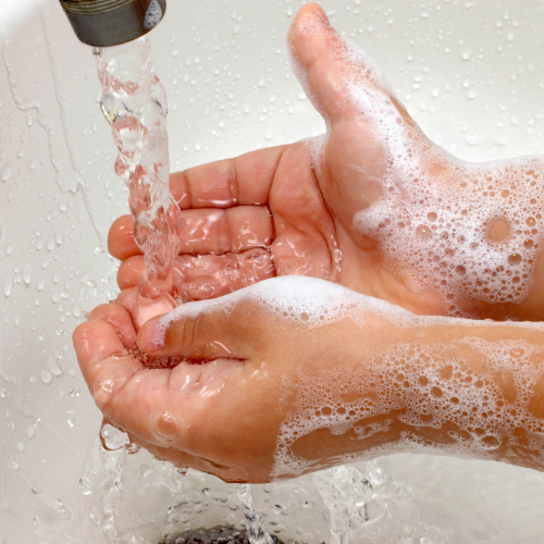 Sebon Green Tea & Amber Scented Liquid Hand Soap with Olive Oil