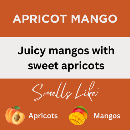 Apricot Mango Scented Reed Diffuser Oil Refill