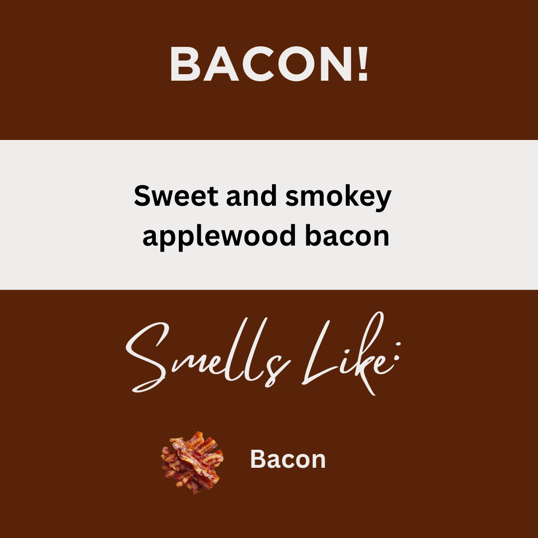 Bacon! Scented Sea Salt Bath Soak