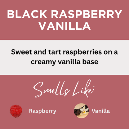 Black Raspberry Vanilla Scented Sea Salt Bath Soak