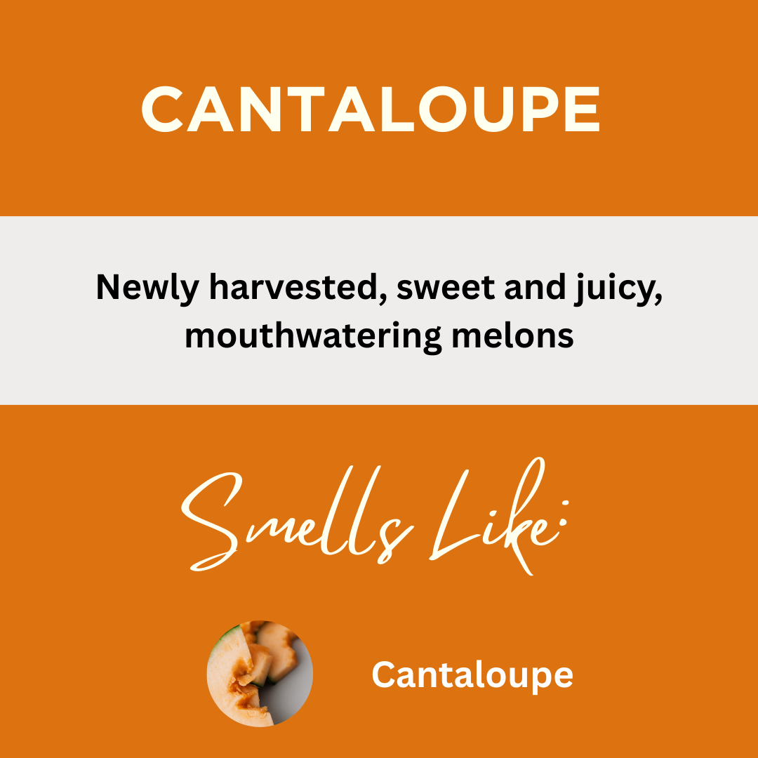 Cantaloupe Scented Liquid Hand Soap