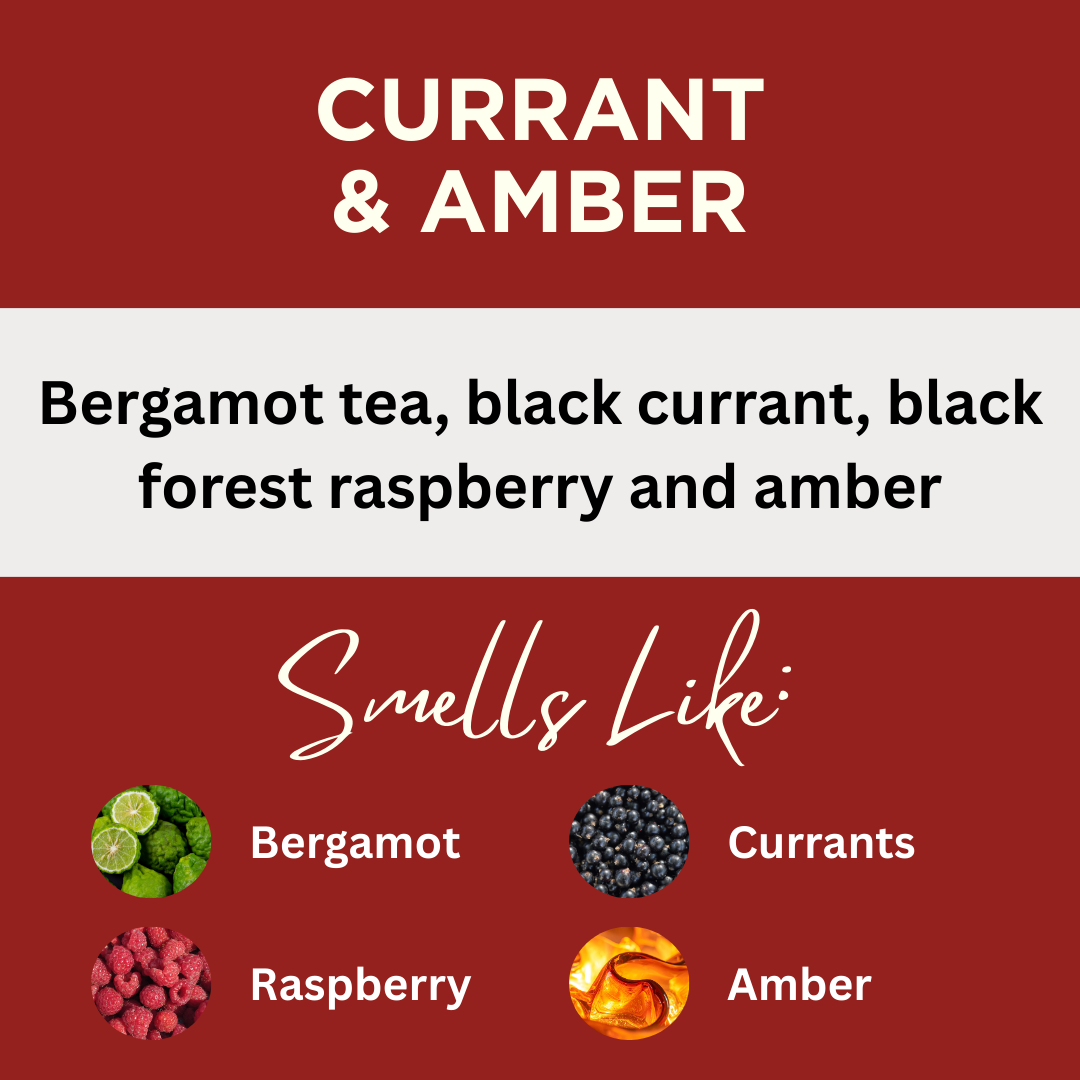 Currant & Amber Scented Hand Dipped Charcoal Incense Sticks