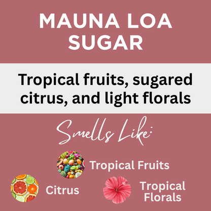Tropical Scents Body Lotion Variety Set