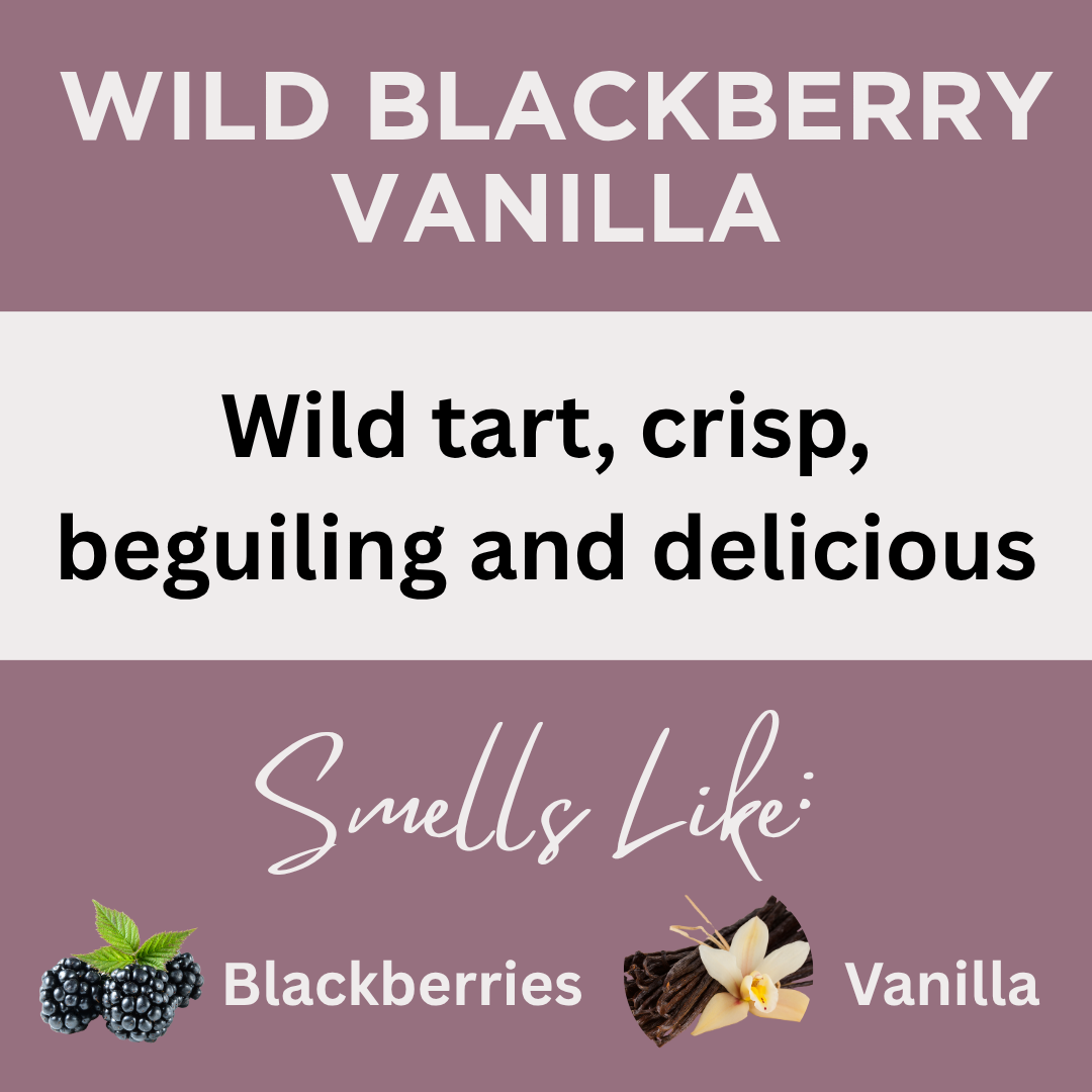 Black Canyon Wild Blackberry Vanilla Scented Body Lotion