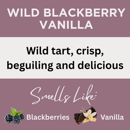 Black Canyon Wild Blackberry Vanilla Scented Body Lotion