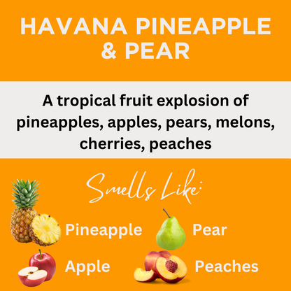 Havana Pineapple & Pear Scented Potpourri