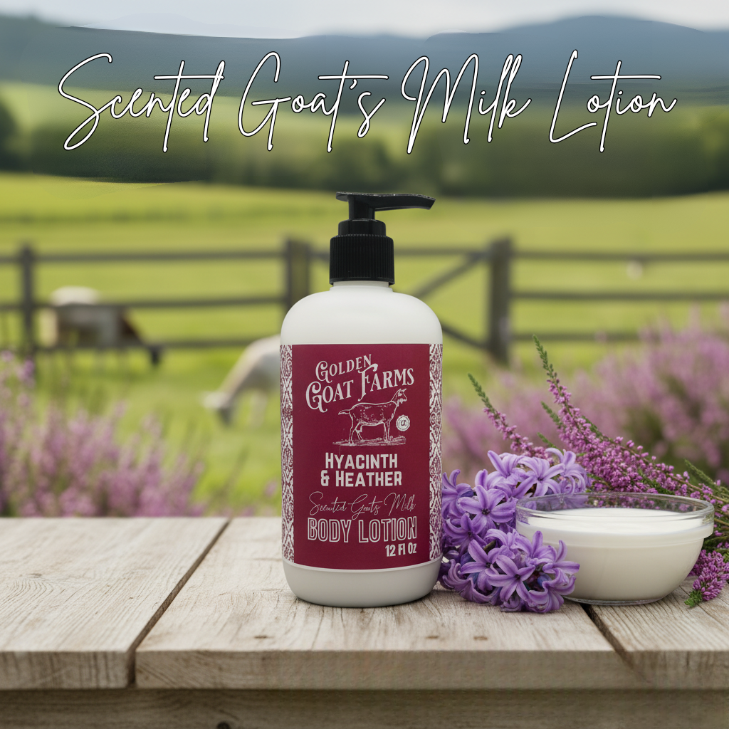Golden Goat Farms Hyacinth & Heather Scented Goat Milk Body Lotion